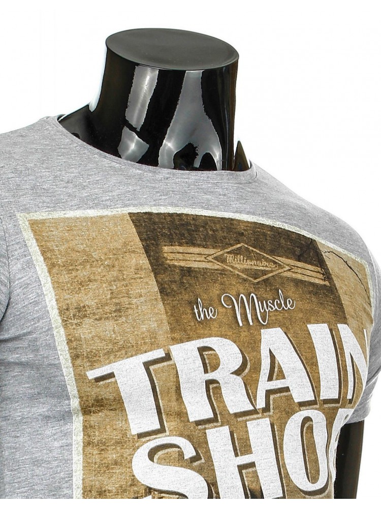 Marškinėliai Train (Pilki)